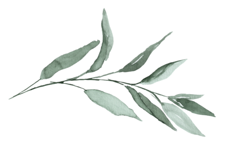 Horizontaler Salbeizweig