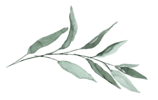 Horizontaler Salbeizweig