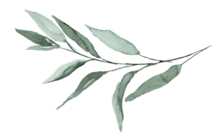 Horizontaler Salbeizweig